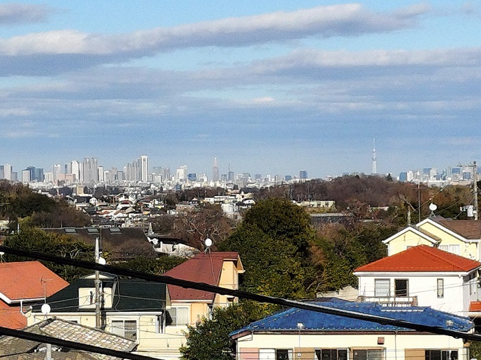 Scenery from the office